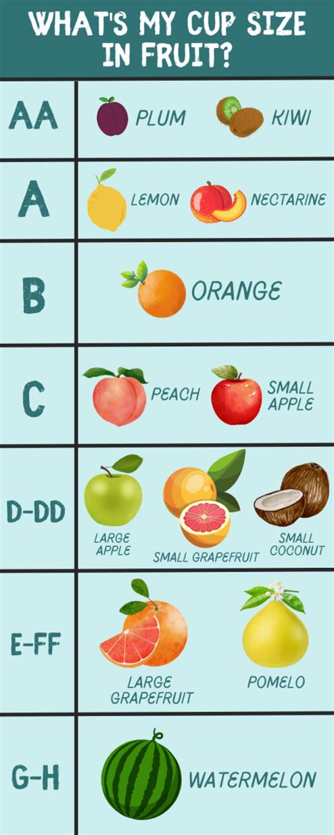 k cup boobs|Your Bra Size Compared to Fruit (Comparison Chart) .